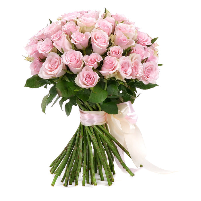 03001862_kytica-ruzove-ruze-pink-atena