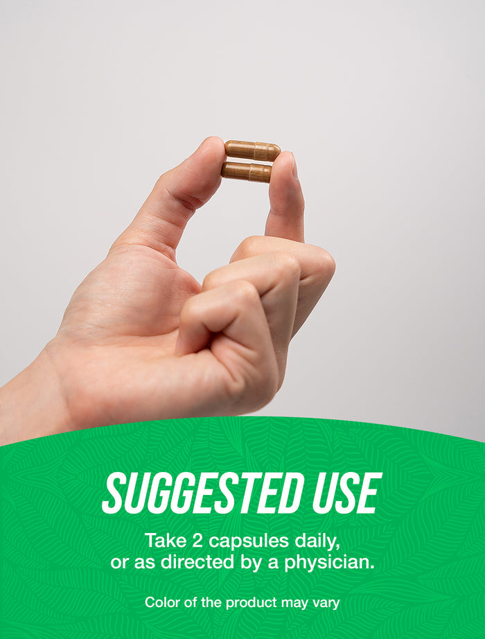 Marshmallow root extract capsules 240 ct suggested use image