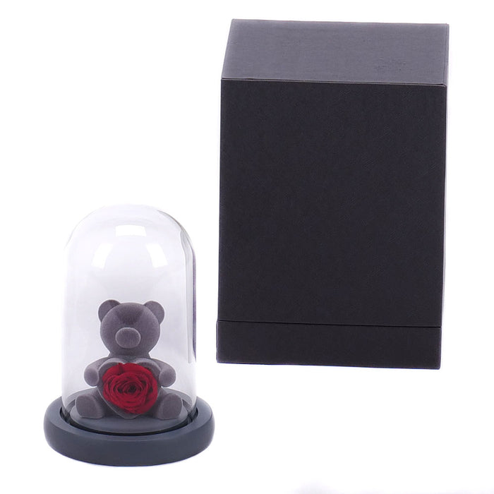 00606303_medvedik-s-ruzou-a-led-osvetlenim-10x15cm-e65