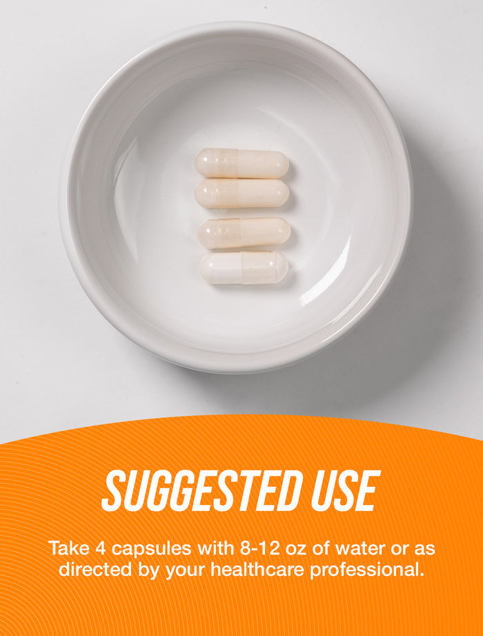MSM capsules suggested use image