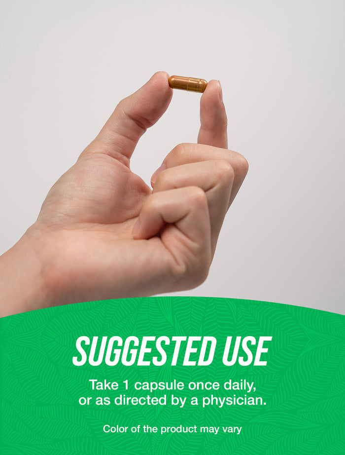 Nattokinase 4000FU capsules suggested use image