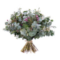 03001330_nature-kytica-eukalyptus-a-waxflower
