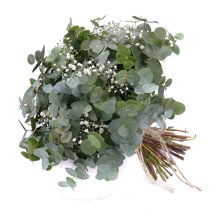 03001331_nature-kytica-eukalyptus-s-gypsophilou