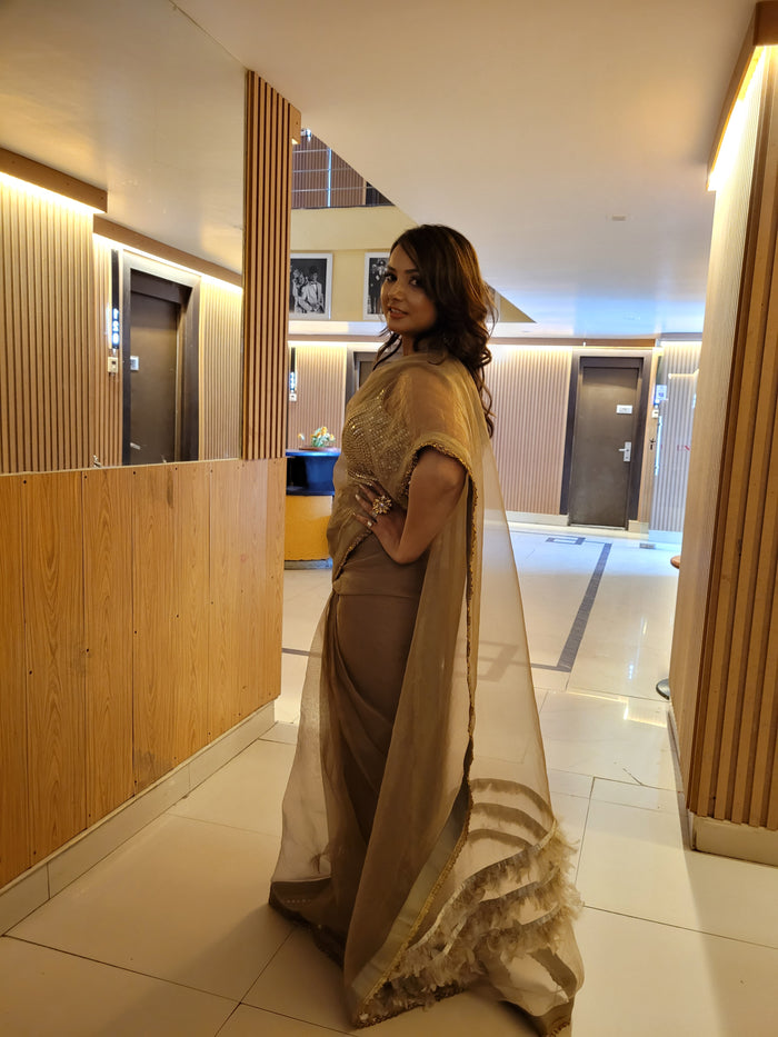 ORGANZA DESIGNER SAREE