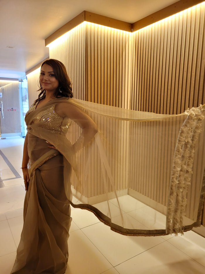 ORGANZA DESIGNER SAREE
