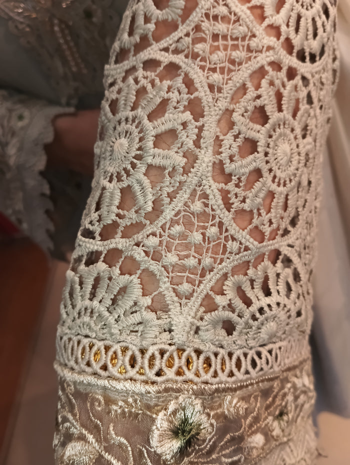 Pakistani Georgette suit set