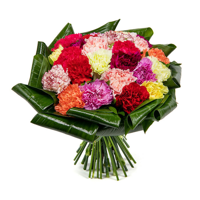 03001356_passion-farebne-karafiaty