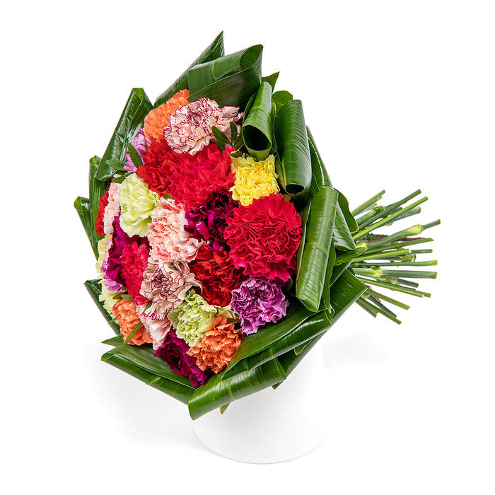 03001356_passion-farebne-karafiaty