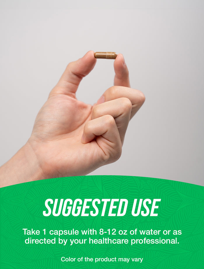 Pine bark extract capsules suggested use image
