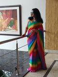 Rainbow 🌈 Saree