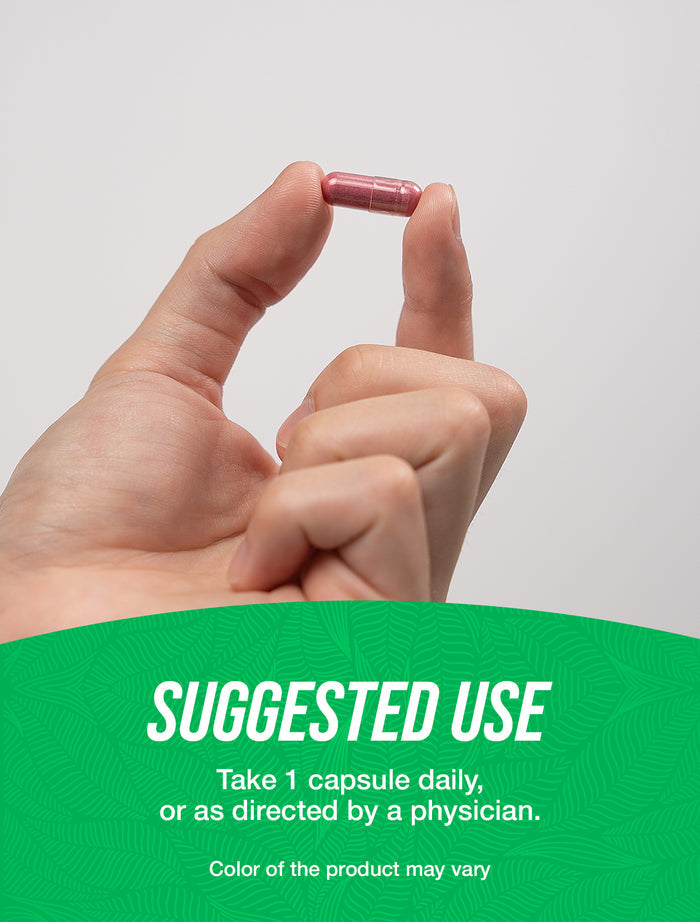Red yeast rice extract capsules suggested use image