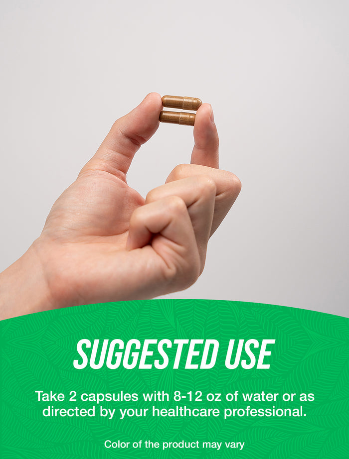 Sarsaparilla root capsules suggested use image