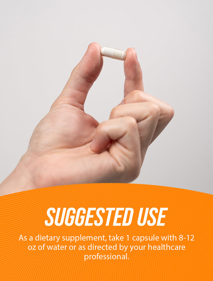 Serrapeptase Suggested Use Image