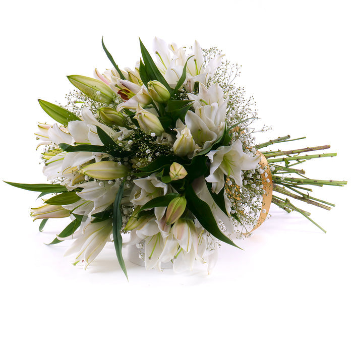 03001506_sweet-biele-lalie