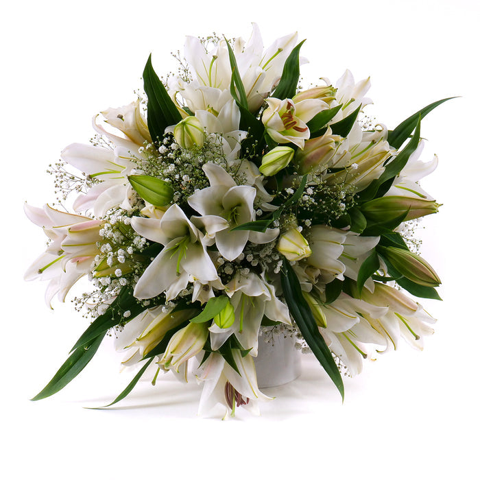 03001506_sweet-biele-lalie