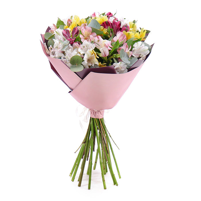 03001560_sweet-farebne-alstromerie