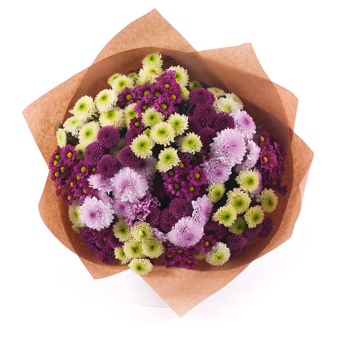 03001570_sweet-farebne-chryzantemy-santiny