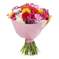 03001562_sweet-farebne-gerbery