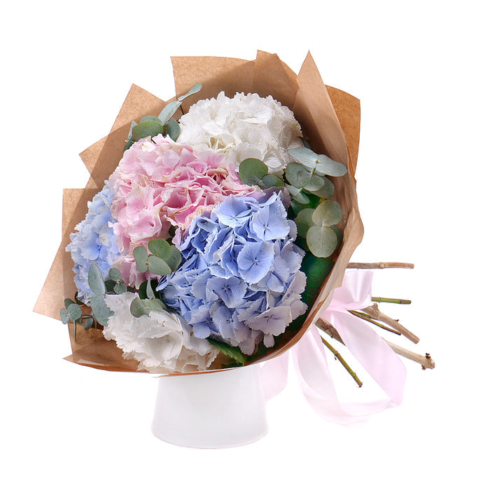 03001565_sweet-farebne-hortenzie