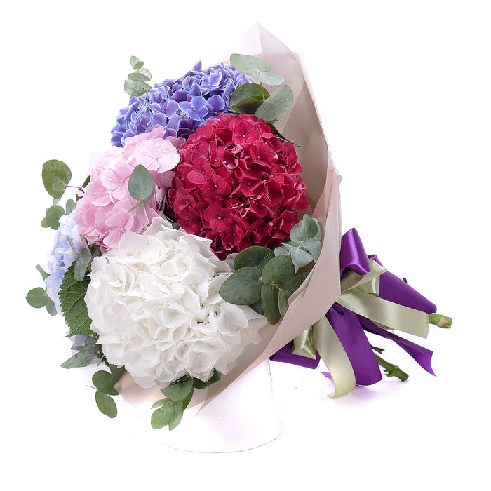 03001565_sweet-farebne-hortenzie