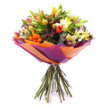 03001577_sweet-farebne-lalie-limonka-a-craspedia