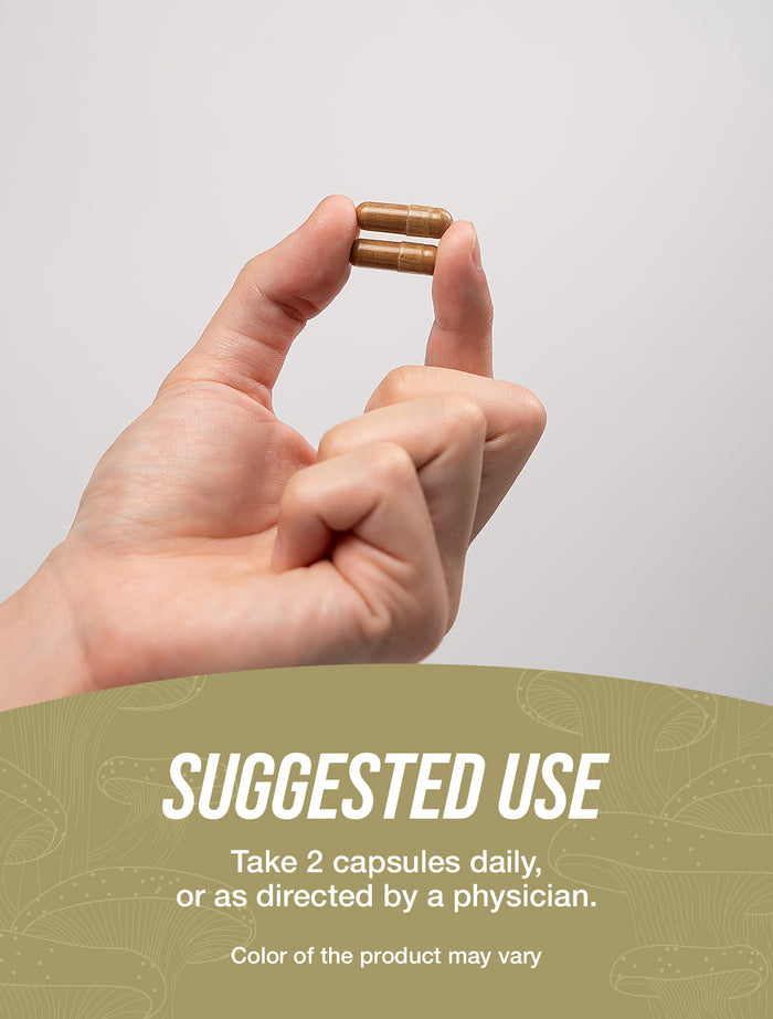 Turkey tail mushroom extract capsules suggested use image