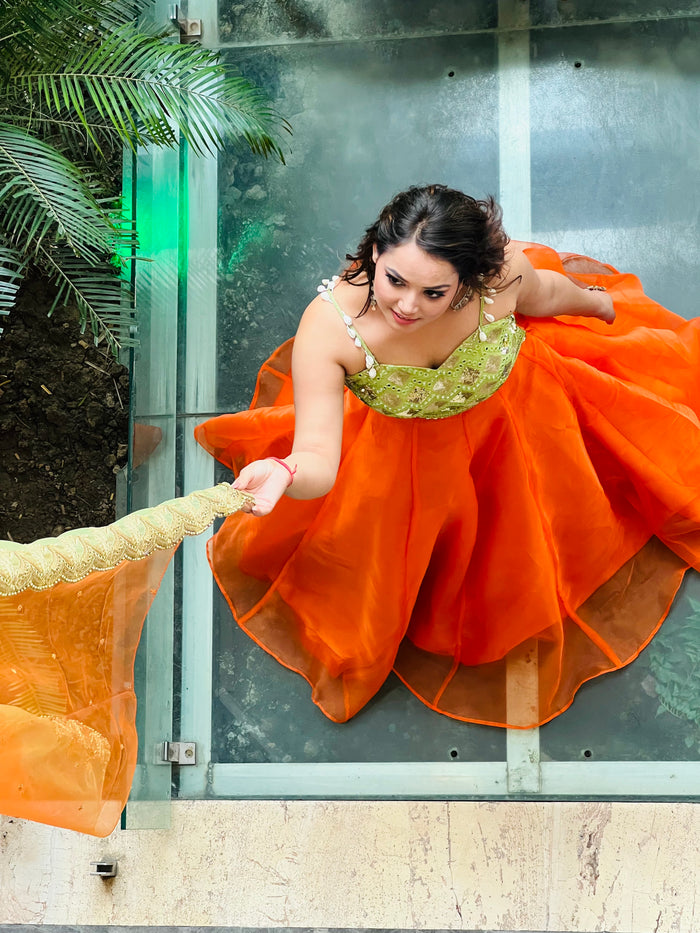 Whimsical Wonders Lehenga