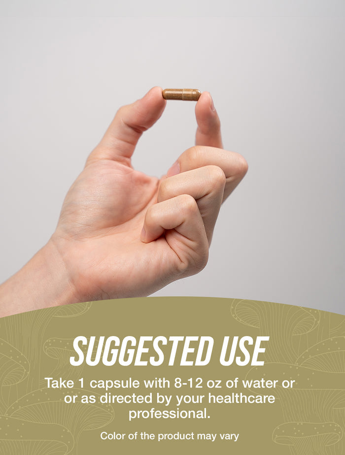 White Button Mushroom Extract capsules suggested use image