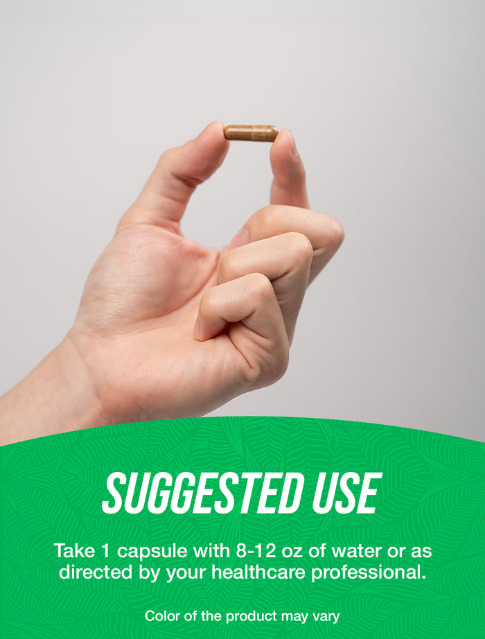 Wormwood extract capsules suggested use image